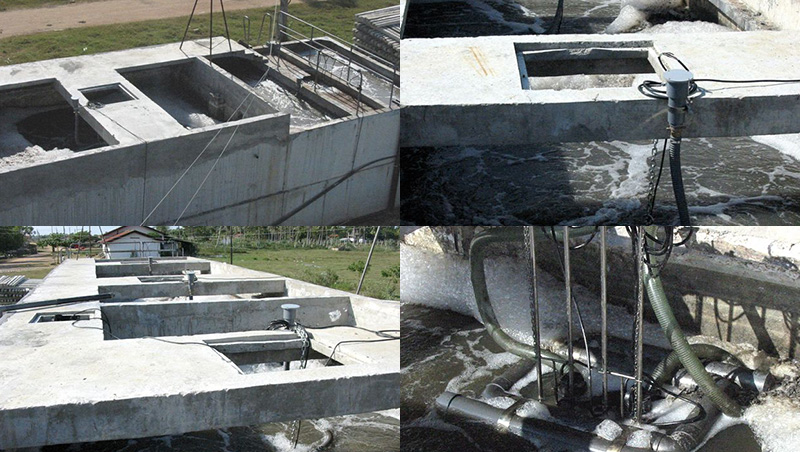 Prawn-processing Factory